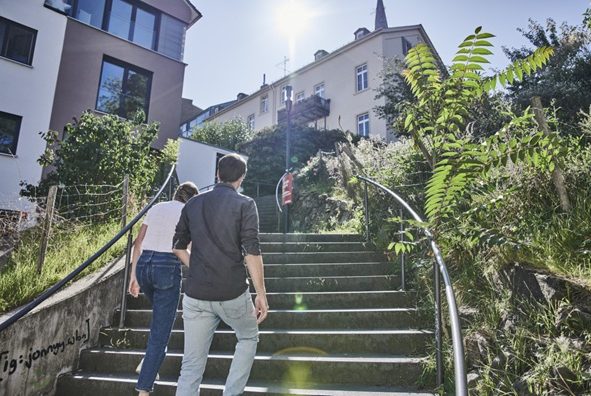 Menschen gehen eine Treppe hinauf, umgeben von grüner Vegetation und sonnigem Wetter.