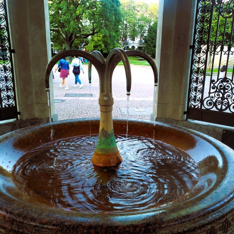 Der Kochbrunnenspringer Brunnen mit sprudelndem Wasser und Blick auf den Garten im Hintergrund.